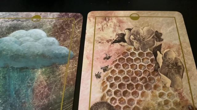 Collective Oracle Reading (no talking) - May 9, 2022 ~ Positivity, Less Density, Present Moment смотреть онлайн