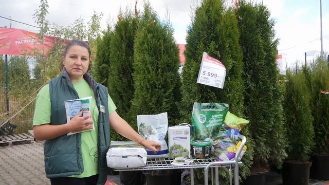 Почему не растут туи, как ухаживать за гортензиями осенью, и другие советы от эксперта ДАРВИН смотреть онлайн