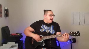 Breaking the Law - Judas Priest (acoustic cover)