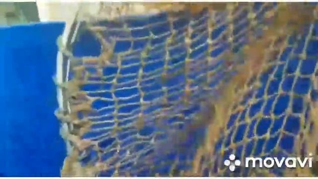 25 июня 2021 г. смотреть онлайн