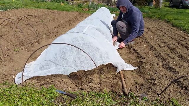 Разсаждане на Домати и Краставици на открито, под тунел от Агрил смотреть онлайн