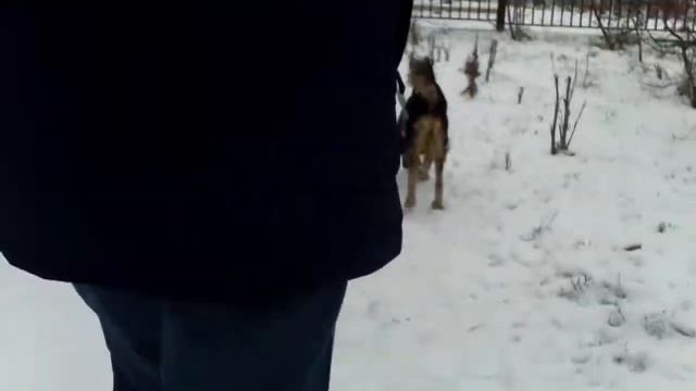 2 часть гулянки с Эльзой смотреть онлайн