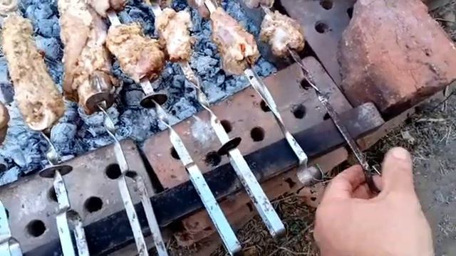 котятки и собобаки смотреть онлайн