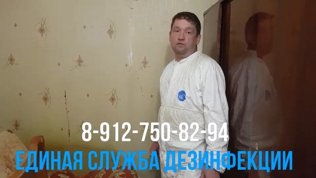 Обработка от клопов методом холодного тумана! смотреть онлайн
