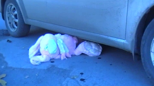 Дорожный патруль беспокоится за безопасность детей на дороге смотреть онлайн