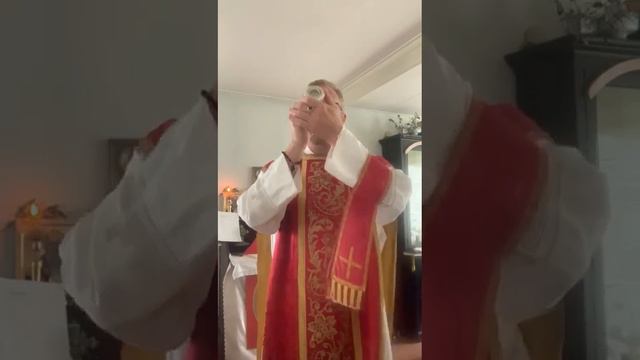 Segen mit Reliquien Heiliger Petrus und Paulus - Pfarrer Rafael Kommers смотреть онлайн