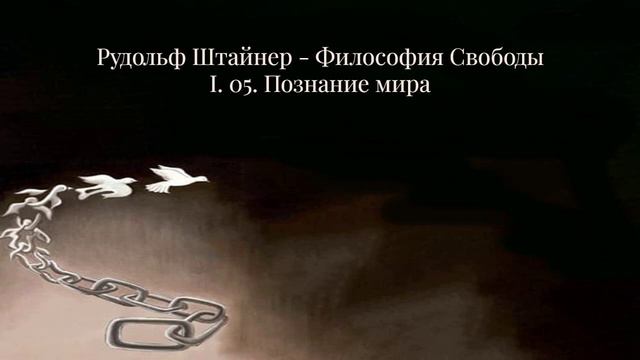Рудольф Штайнер Философия Свободы, I 05 Познание мира смотреть онлайн