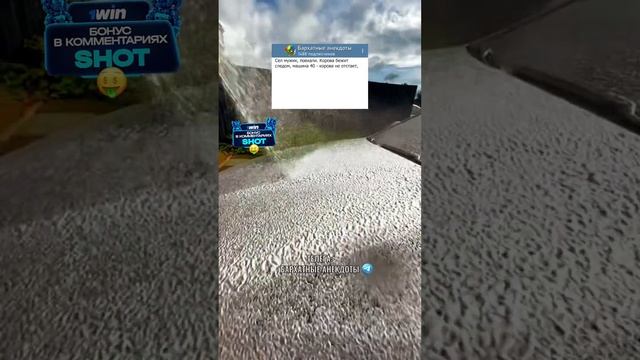 Анекдот про мужика и корову?Больше шуток в комментах #анекдоты смотреть онлайн