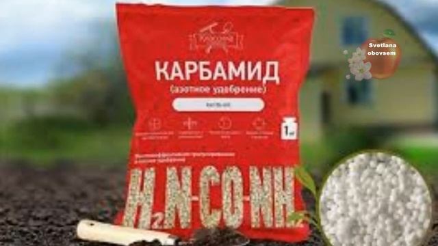 ОБРАБОТАЙ САД ТАК- ПОД ЗИМУ.ИДЕАЛЬНО ДЕЙСТВУЮЩЕЕ ОПРЫСКИВАНИЕ.УНИЧТОЖЕНИЕ ГРИБКОВ,ЯЙЦА ВРЕДИТЕЛЕЙ. смотреть онлайн