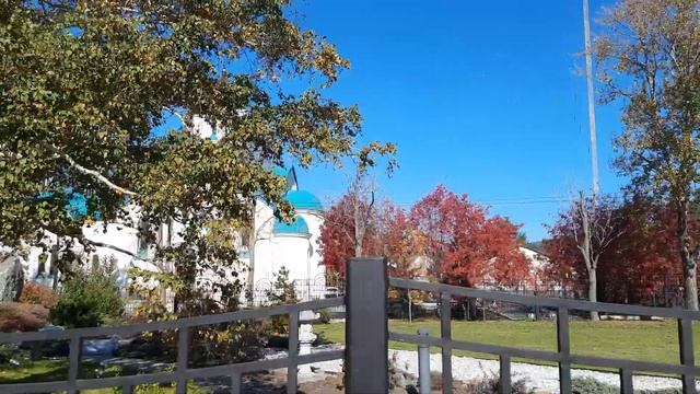 Рябиновый город - песня о Южно-Сахалинске 1982 г. смотреть онлайн