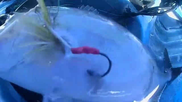 FEELFREE NOMAD KAYAK FISHING 218MTS SERIOLE смотреть онлайн