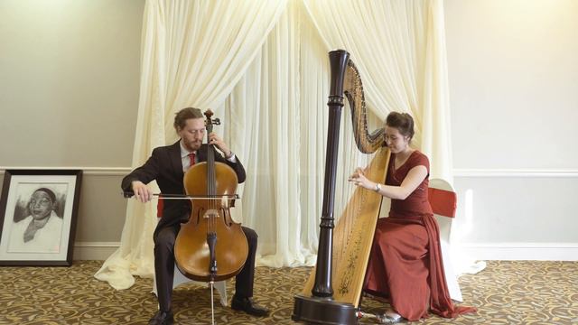 Falling in Love With You ~ Harp and Cello смотреть онлайн