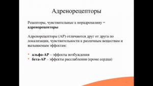 5.1. Адренергическая система. Адренотропные средства