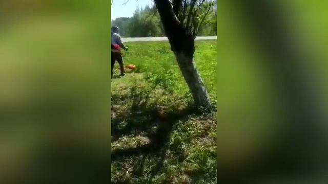 Профессиональный покос травы у трассы