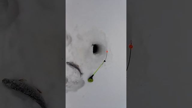 Коми Ухта Рыбалка Отдых Лес(2) смотреть онлайн