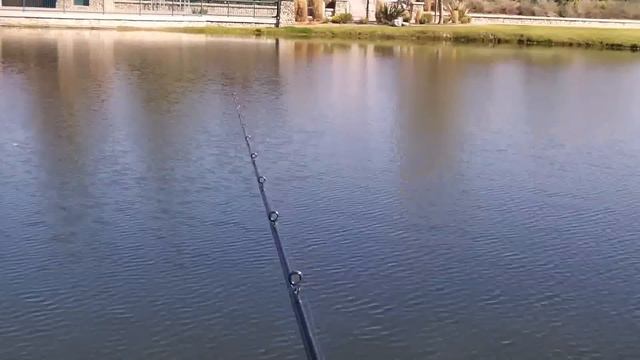 bass fishing with the banjo minnow! смотреть онлайн