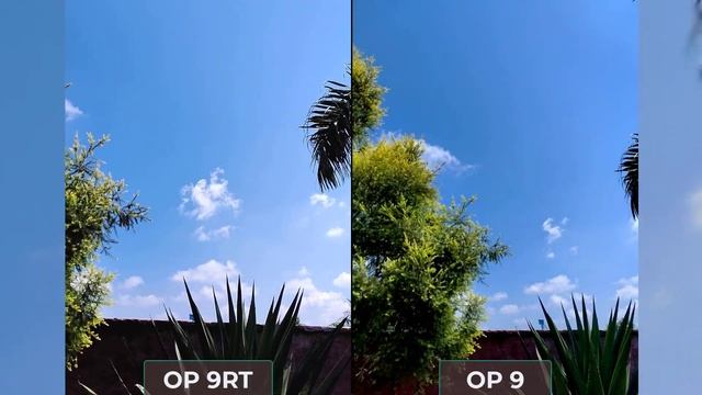 Oneplus 9RT 5G Vs Oneplus 9 Camera Test Comparison