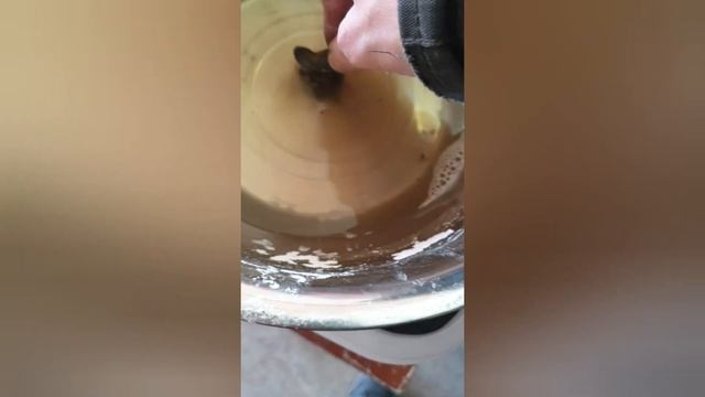 Ультразвуковая ванна в гараж своими руками. смотреть онлайн