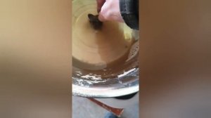 Ультразвуковая ванна в гараж своими руками.