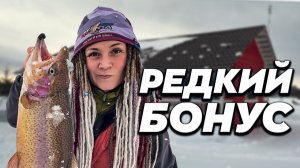 Рыба - сильная, икра - красная. Ловля форели зимой на балансир. Фишпарк Тюмень. Рыбалка 2022