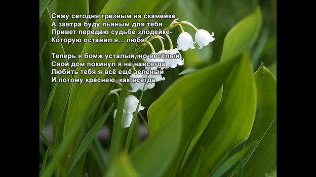 Стихи Черкашин Дмитрий - Ландыш смотреть онлайн