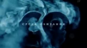 Среда обитания. Косметика