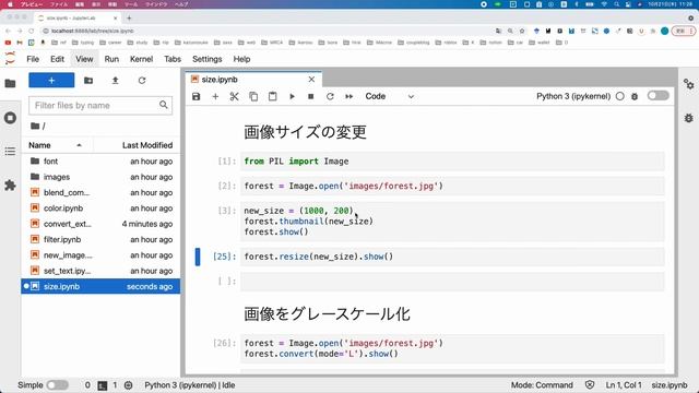【Python Pillow超基礎】Lecture2：画像サイズ変更＆グレースケール化＆回転 смотреть онлайн