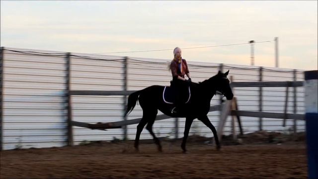 Таволга смотреть онлайн