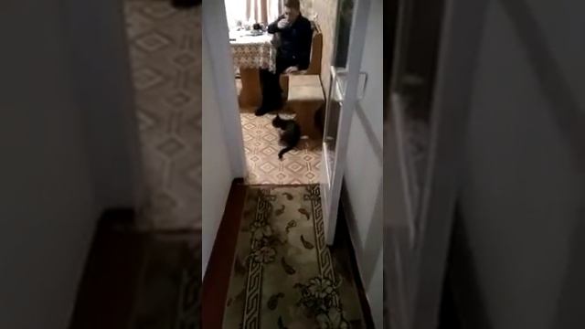 Съесть не съем,а понадкусываю смотреть онлайн