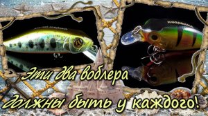 Два самых уловистых воблера. Универсальный воблер на щуку и судака, и воблер который ловит всю рыбу