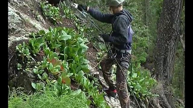 Саяногорские юнармейцы стали участниками военно полевых сборов «Ергаки – 2018» смотреть онлайн