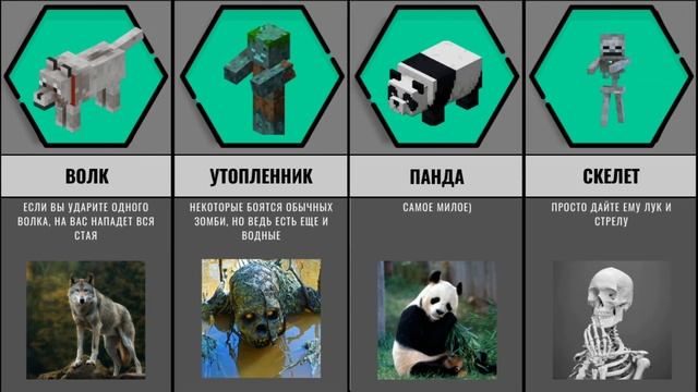 Как бы Выглядели Мобы Майнкрафт в Реальной Жизни смотреть онлайн