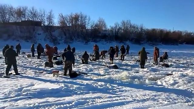 Рыбалка в сибири, река Омь смотреть онлайн