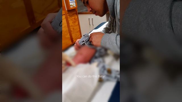Baby Jigo's Circumcision! ♡@nynellenevelson09