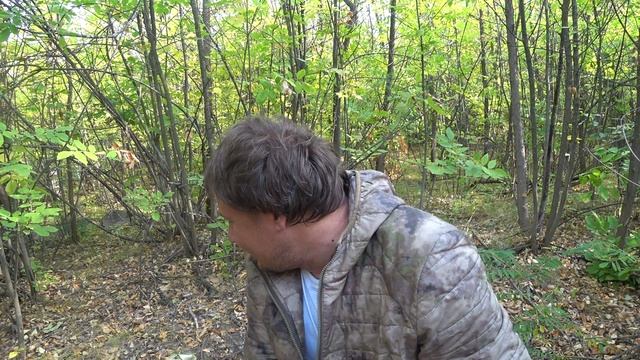 В Осенний Лес за Грибами Сезон Груздей Грибы 2020 в Сентябре Тихая Охота Сбор Грибов Осенью смотреть онлайн