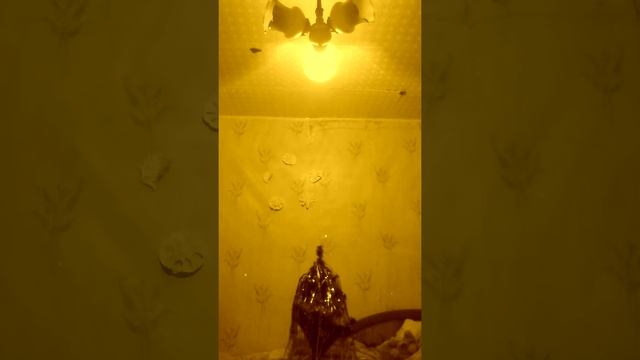 как правильно драться подушками смотреть онлайн