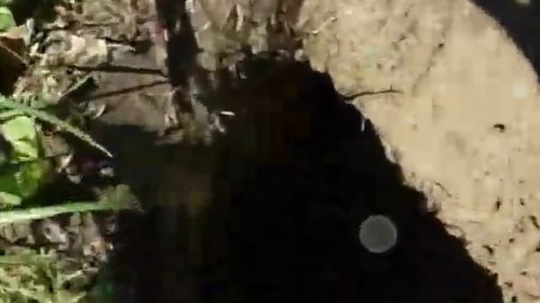 desertgold 2euro hard test