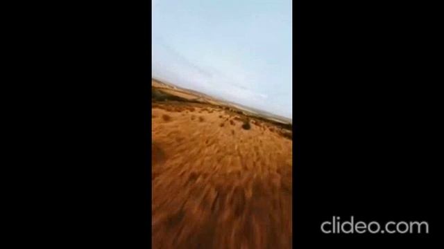 вечер пятницы 26.05 смотреть онлайн