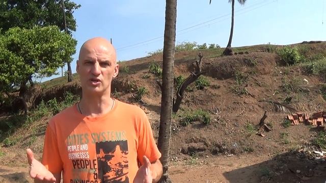 О змеях и кокосах смотреть онлайн