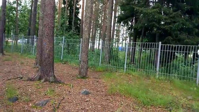 Костомукша - белка в детском саду смотреть онлайн