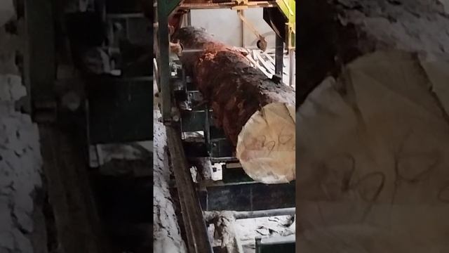 Распил бревна.Работают профи .