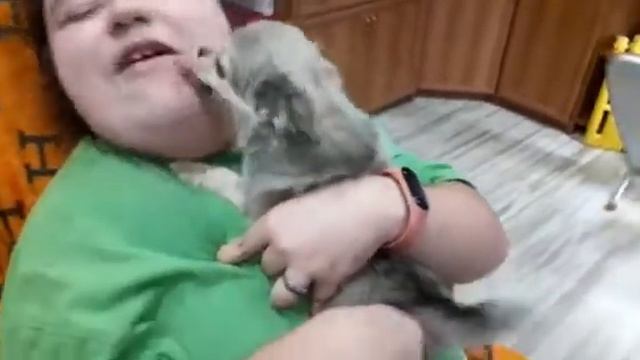 любовь любовная чихуахуа Массандра целуется СИМФЕРОПОЛЬ Кастропуло Крым смотреть онлайн
