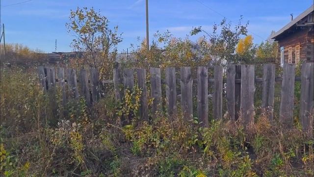 Съездили на дачу/Мухи атакуют/Опять обманули смотреть онлайн