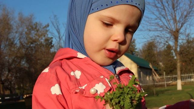 В каком году родился Пророк Мухаммад? смотреть онлайн