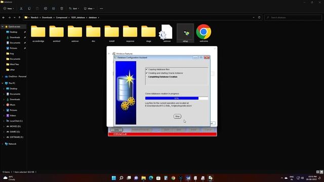 SQL Plus Install on Windows 11 for Backend Testing & BackEnd Dev смотреть онлайн