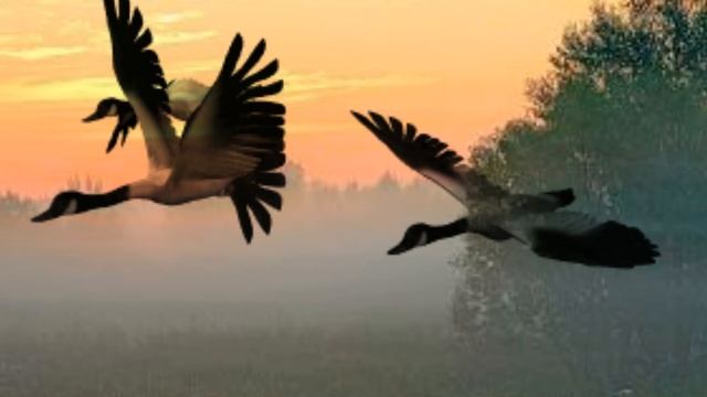 журавли летят смотреть онлайн