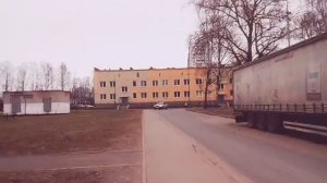 Осиновая роща в СПБ