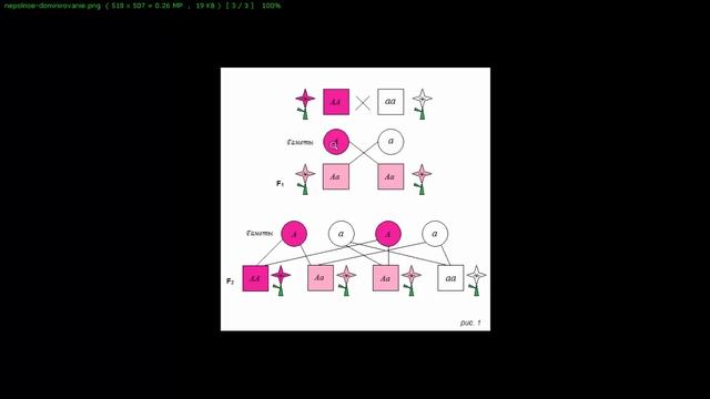 Биология. Подготовка к ЕГЭ 2018. Задание №8. Людмила Ивановна. Profi-Teacher.ru смотреть онлайн