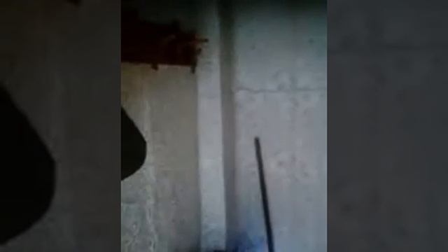 Баня из арболита (обзор) смотреть онлайн