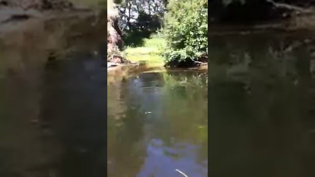 Мы на лодочки катались. смотреть онлайн